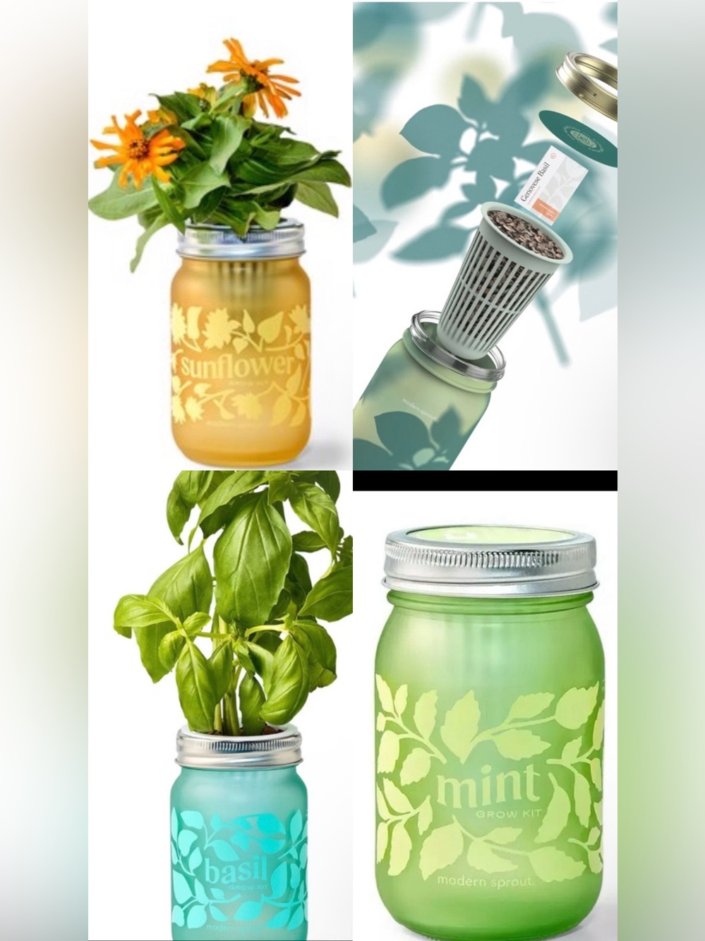 Modern Sprout Pint Jar Grow Kits bundles